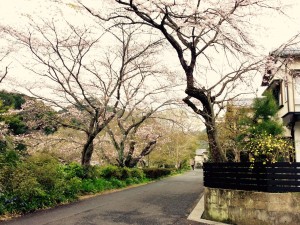ギャラリー水嶋の様子 3