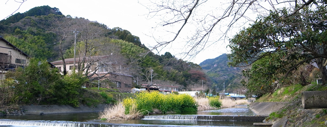 ギャラリー水嶋の廊内 6